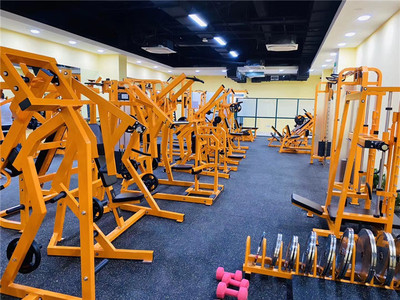 健身器材進(jìn)出口與工藝品市場的價(jià)格分析